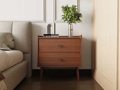 Dark Brown Wooden Bedside Table with Two Drawers Vase Green Plant and Books 3d model