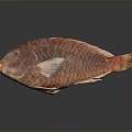 Red Fish With Vibrant Scales And Detailed Texture On Dark Background