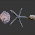 Organ And Hair Biological Specimens For Educational Biological Study