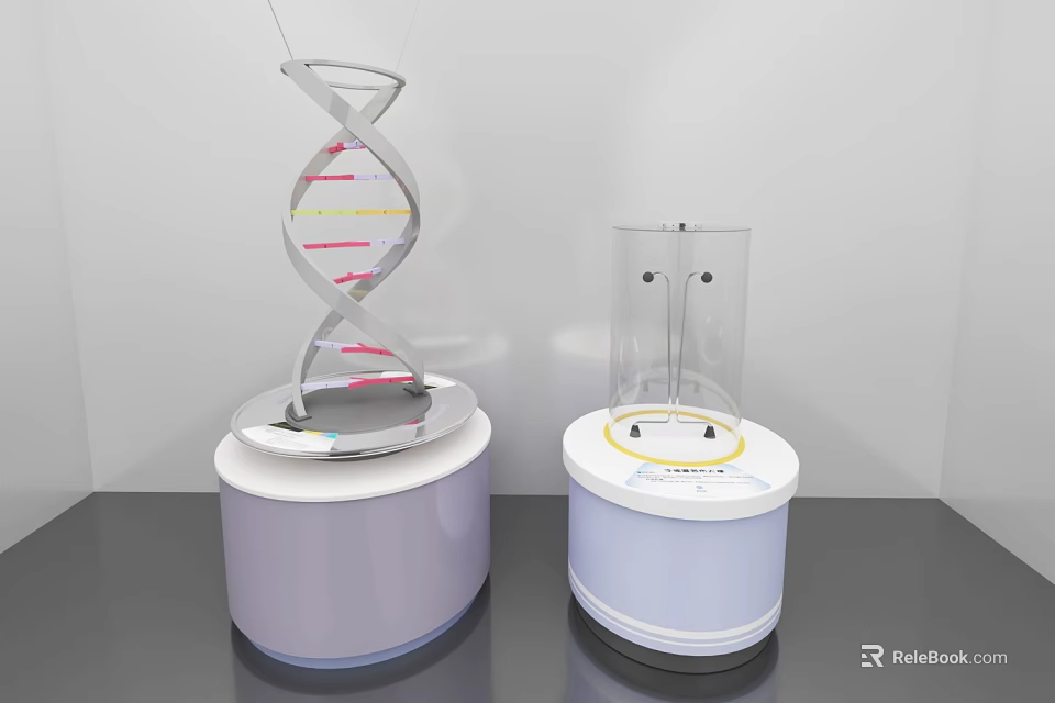 DNA Double Helix Model With Clear Transparent Container On White Purple Scientific Display Bases 3d model 