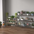 Multi tiered Plant Shelf Displaying Various Green Plants and Flowers by Window on Wooden Floor