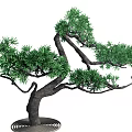 Tree Landscape Tree Pohan Pine 3d model