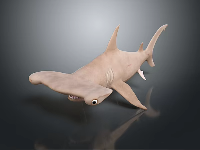 Detailed Hammerhead Shark 3D Model with Hammer Shaped Head and Dark Background Reflection 3d model