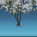 Various Arbor Trees With Lush Foliage And Bare Branches Against Blue Background