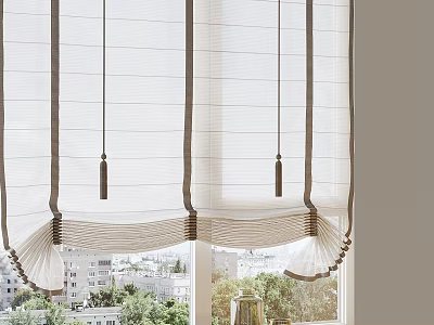 Light Filtering Roman Shades For Window With City View 3d model