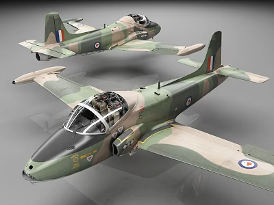 Two Detailed Military Aircraft Models With Camouflage Paint And Insignia 3d model