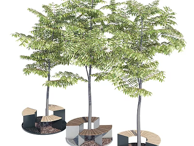 Contemporary Outdoor Tree Pit Design Featuring Wood And Metal Seating And Lush Trees 3d model