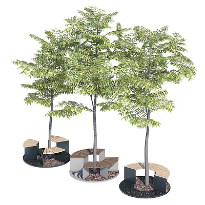 Contemporary Outdoor Tree Pit Design Featuring Wood And Metal Seating And Lush Trees 3d model