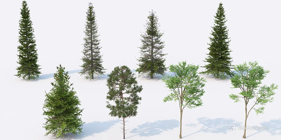 Diverse Arbor Trees with Green Foliage and Various Natural Characteristics 3d model 