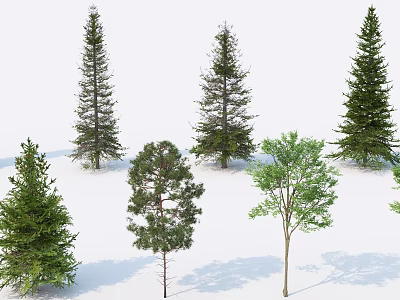 Diverse Arbor Trees with Green Foliage and Various Natural Characteristics 3d model