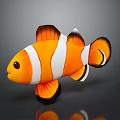 Clownfish 3D Model Featuring Orange White Stripes And Black Edges Fins With Reflection