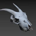 White Horned Animal Skull Display On Dark Background With Detailed Features