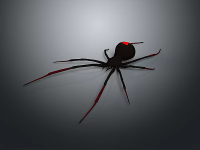 Black Spider With Red Legs And Red Abdomen Spot On Gray Background 3d model