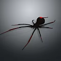 Black Spider With Red Legs And Red Abdomen Spot On Gray Background