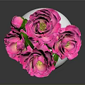 Beautiful Fresh Pink Roses with Green Leaves in White Decorative Vase