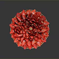 Fresh Strawberry Tart Arranged with Strawberries in Flower Shape and Whole Center