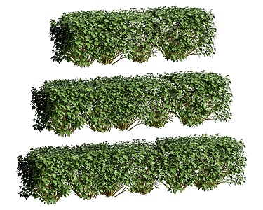 Modern Shrub Plant Wall Green Plant Wall Plant Partition 3d model