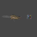Detailed Cicada With Transparent Wings And Colorful Rubik's Cube On Gray Background