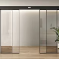 Modern Sliding Glass Doors With Black Frame Wooden Floor And Green Plant