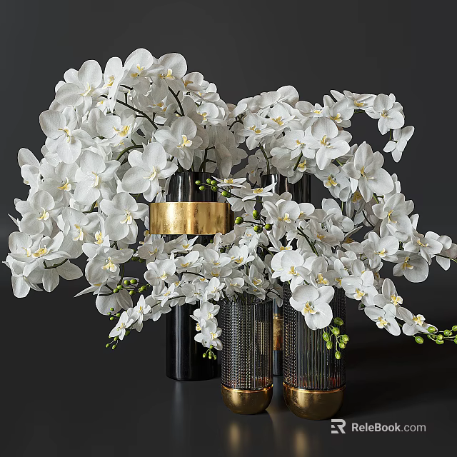 White Orchids in Black Vases with Gold Accents and Green Sprouts Arrangement 3d model 