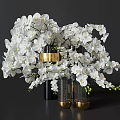 White Orchids in Black Vases with Gold Accents and Green Sprouts Arrangement