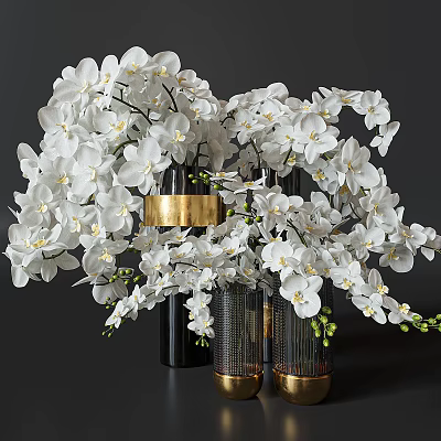 White Orchids in Black Vases with Gold Accents and Green Sprouts Arrangement 3d model