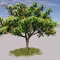 Lush Arbor With Green Foliage And Vibrant Orange Fruits On Grass
