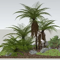 Lush Green Shrubs with Ferns Palms and Stones in Natural Garden Landscape