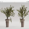 Modern Vase 3d model