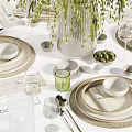 Modern Ceramic Tableware Set With Plates Bowls Glasses And Green Plant Decoration