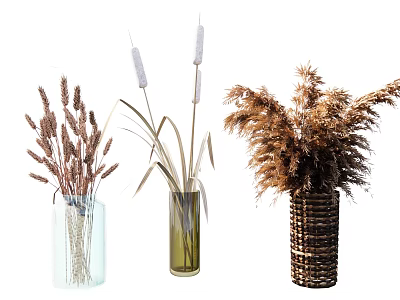 Elegant Glass and Wicker Vases with Dried Wheat and Reed Flowers 3d model