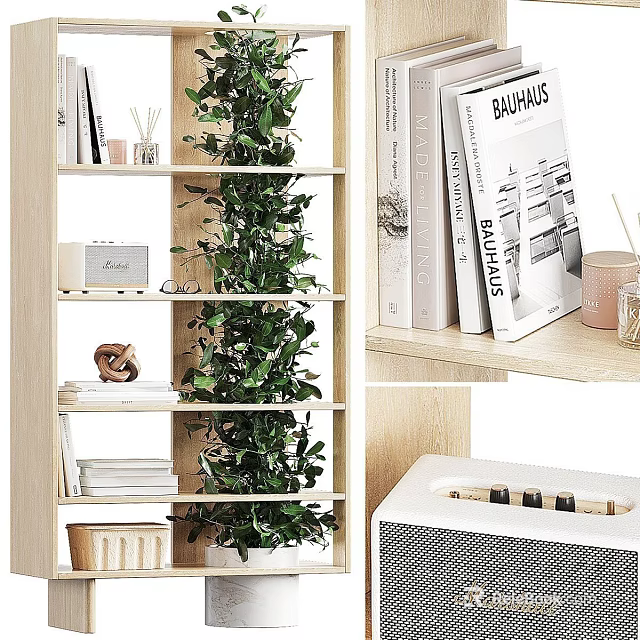 Modern Wooden Bookshelf With Layered Design Green Plant And Decorative Books 3d model 