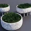 Three Bonsai Potted Plants In Gray Concrete Planters With Legs And Lush Greenery
