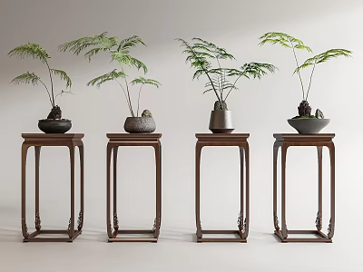 Modern Bonsai Fern Bonsai Bonsai 3d model