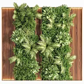 Green Plant Wall Decorative Arrangement With Lush Foliage And Wooden Background