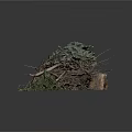 Lush Green Plants Mixed with Dry Twigs and a Natural Stone Pile