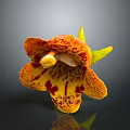 Home Decor Orange Yellow Flower with Red Spots Yellow Stamen Green Calyx and Dark Reflection
