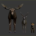 Group of Wild Moose Deer and Fox Standing Together on Gray Background
