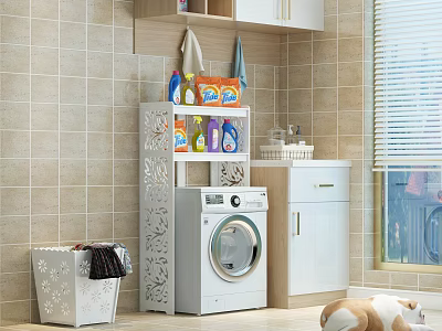 Carved Design Storage Cabinet Rack In Laundry Room With Washing Machine And Cleaning Supplies 3d model
