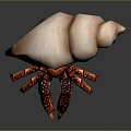 Hermit Crab Carrying Pink Spiral Shell With Red Legs And White Spots