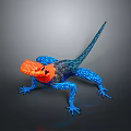 Colorful Lizard With Orange Head Blue Body On Dark Background Showing Vibrant Scales