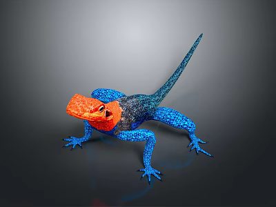 Colorful Lizard With Orange Head Blue Body On Dark Background Showing Vibrant Scales 3d model