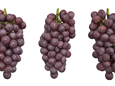Fresh Juicy Purple Grapes Three Bunches Perfectly Arranged on White Background 3d model