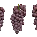 Fresh Juicy Purple Grapes Three Bunches Perfectly Arranged on White Background