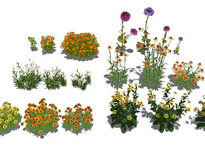 modern chrysanthemum 3d model