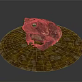 Toad Sitting On Circular Textured Platform With Brown And Green Patches
