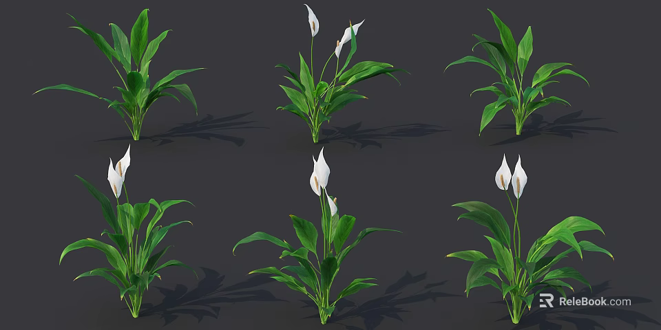 White Flowers In Decorative Vase With Green Leaves For Home Decoration 3d model 