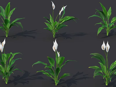 White Flowers In Decorative Vase With Green Leaves For Home Decoration 3d model