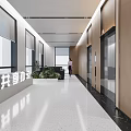 Modern Shared Office Space Corridor with Elevators Green Plants and Reception Waiting Area 3d model