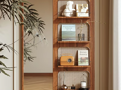 Mirror Reflecting Room With Multi layered Wooden Shelf Books Decorations And Green Plants 3d model